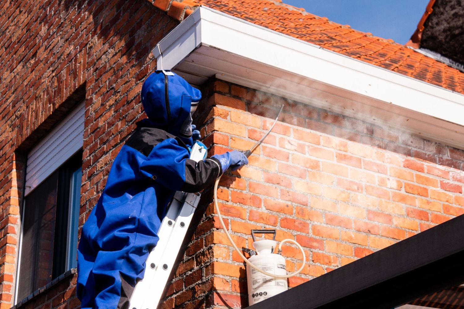 Wespenpoeder wordt aan de ingang van een wespennest gestrooid of er in gespoten.